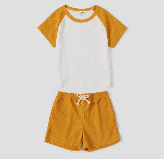 Toddler Boy Raglan Sleeve Tee And Short Set- Different Color Options Available