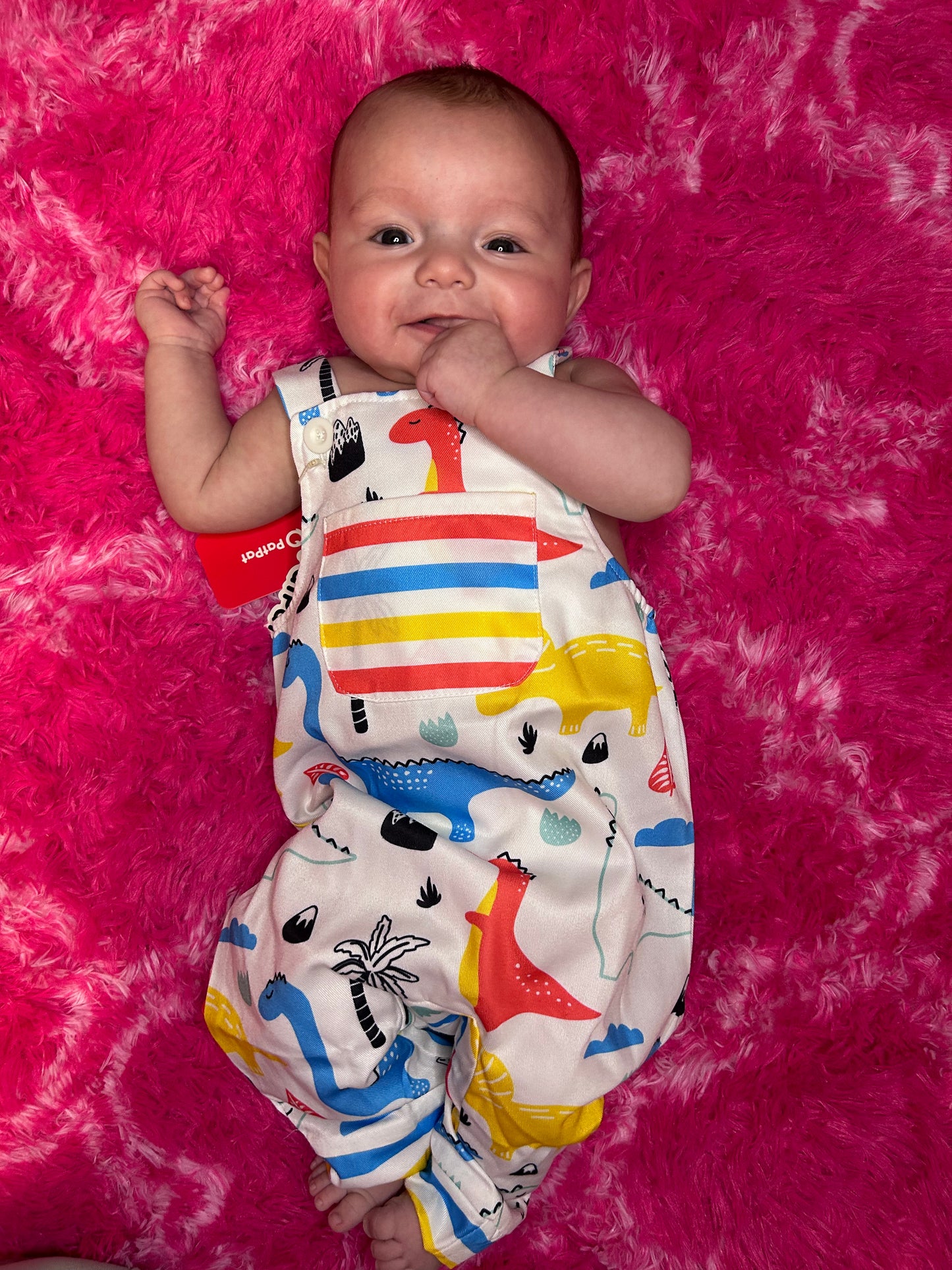 Baby Boy Dinosaur Print Overalls